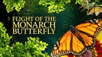 Flight Of The Monarch Butterfly (2012)