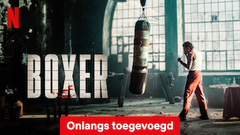 Boxer (2024)