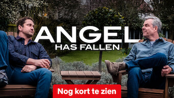 Angel Has Fallen (2019)