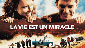 La vie est un miracle (2004)