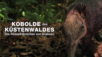 Kobolde des Küstenwaldes - Die Rüsselhündchen von Arabuko (2008)