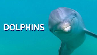 Dolphins (2013)